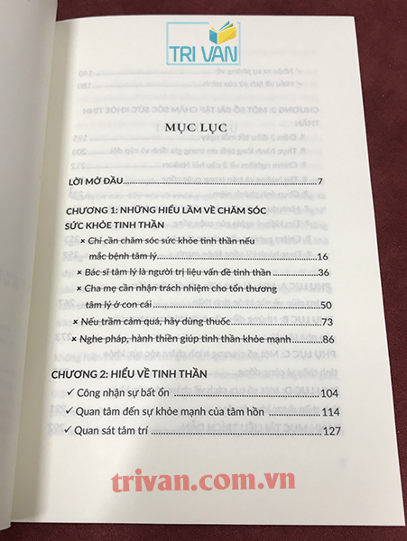 Vì tâm hồn biết lành lại - Những lầm tưởng phổ biến và sự thật về chăm sóc sức khỏe tinh thần - Đặng Hoàng Ngân