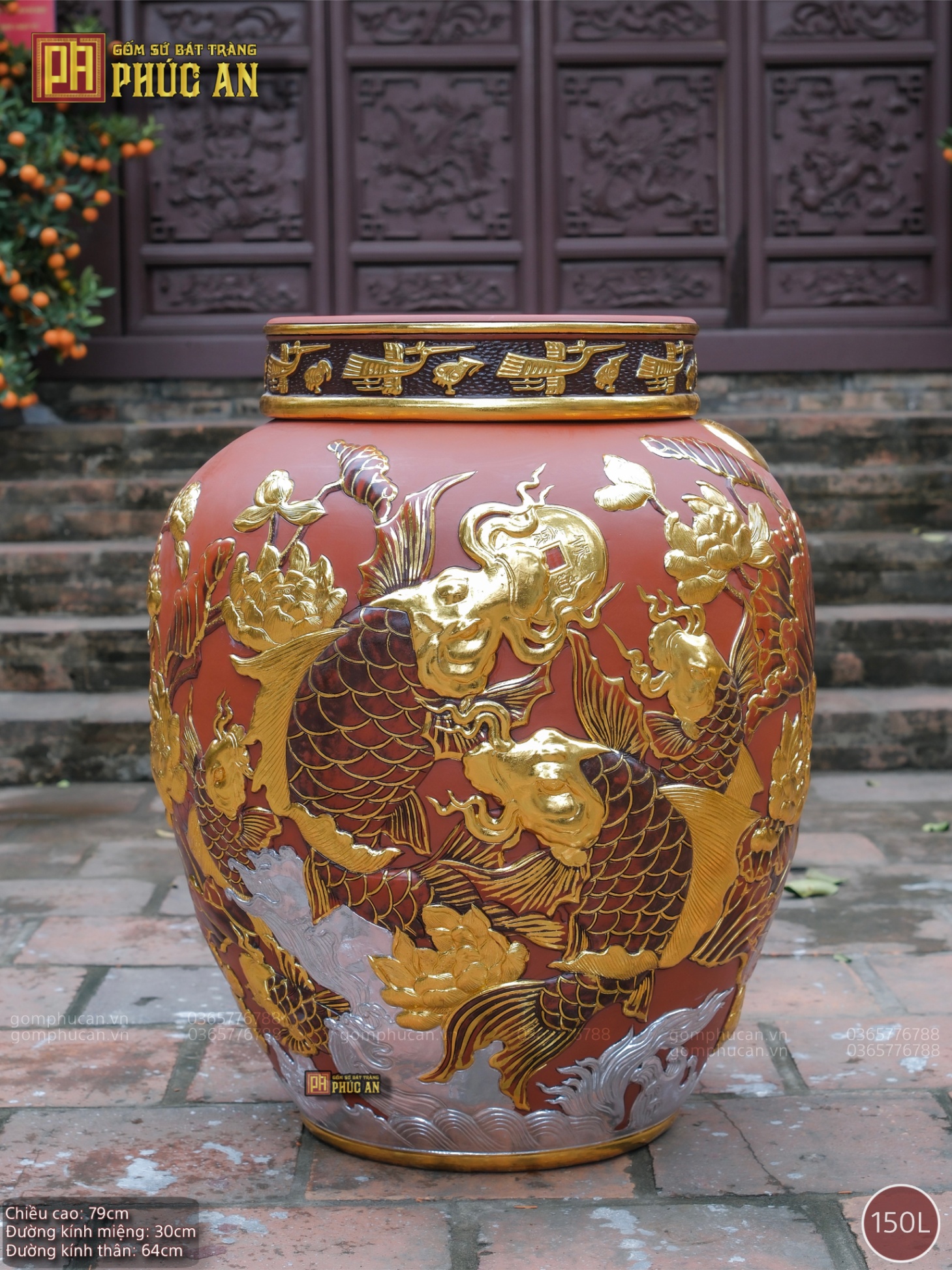 Chum Sành Trống Đồng Cá Chép Liên Hoa Ngư Dát Vàng 150 lít