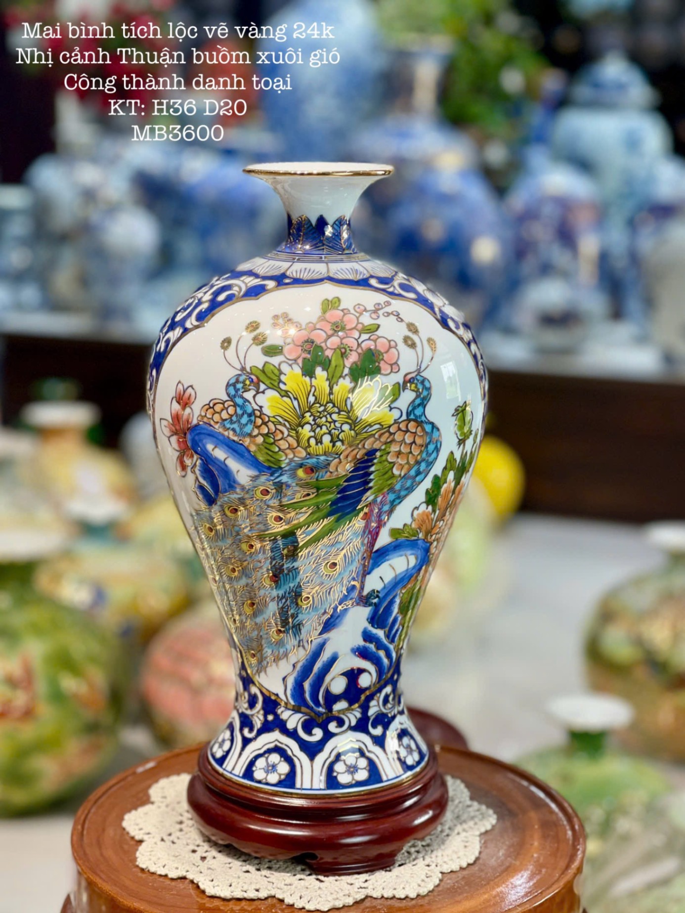 Mai Bình H36 nhị cảnh 