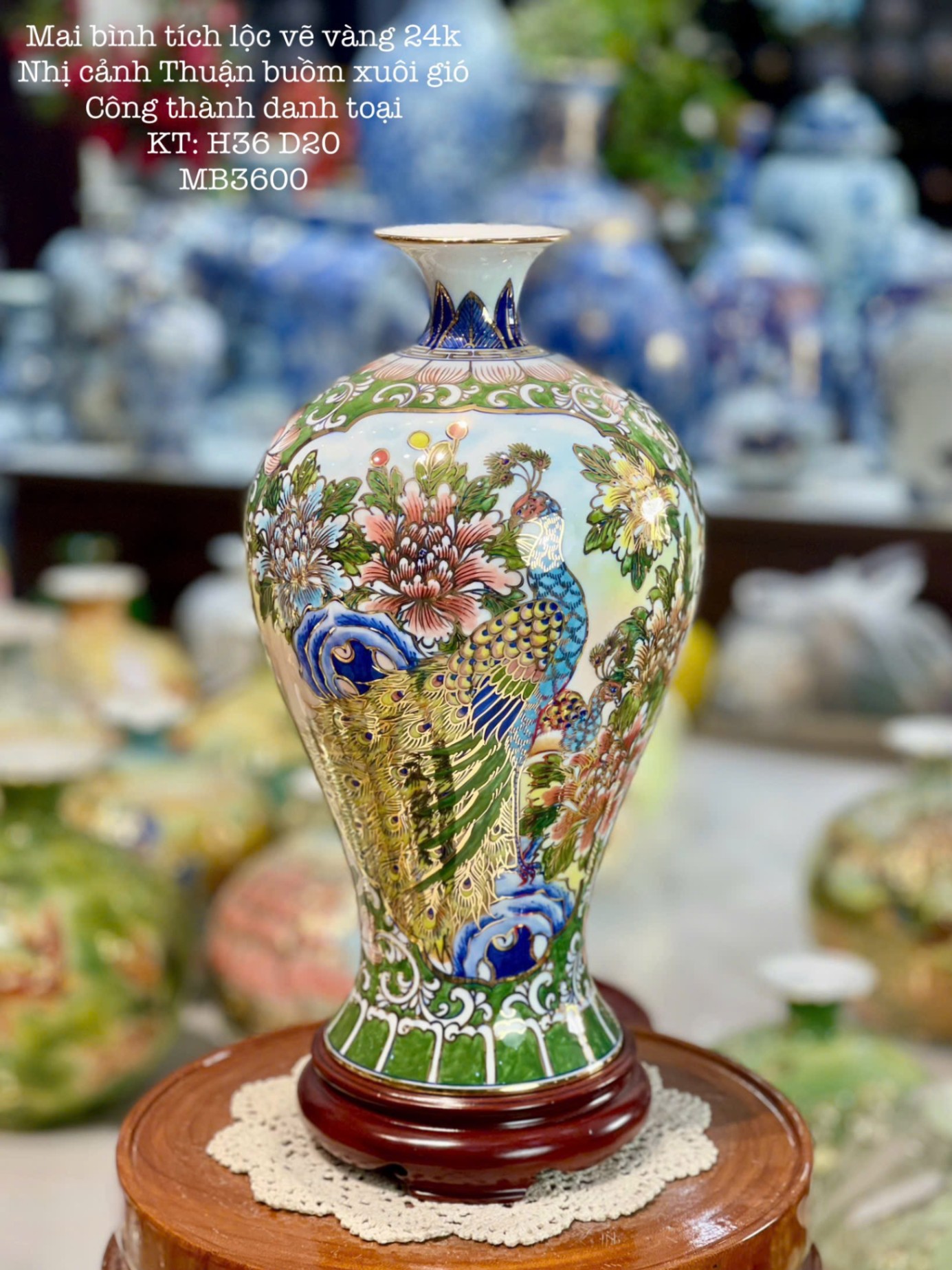 Mai Bình H36 nhị cảnh 