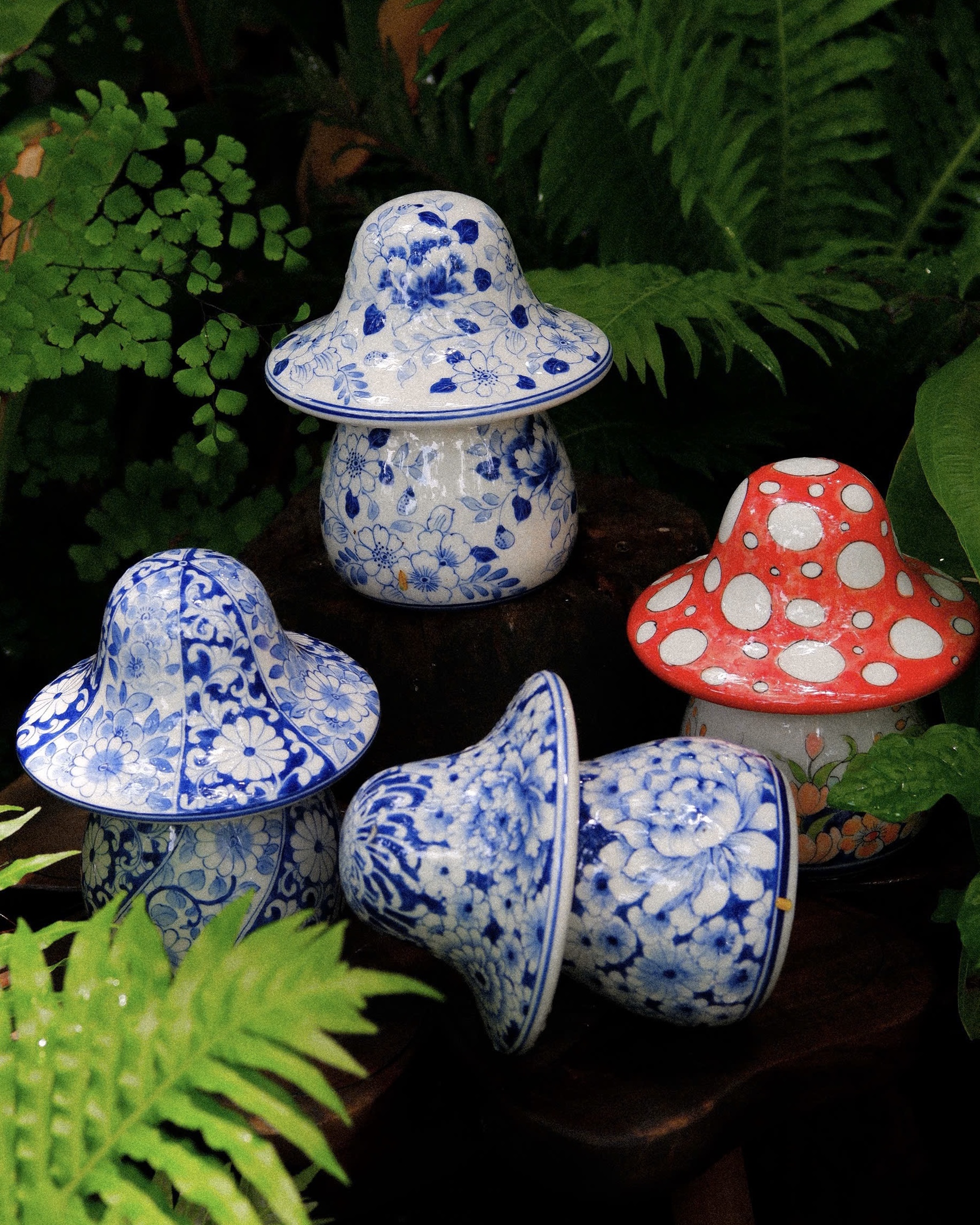 Nấm DECOR H20
