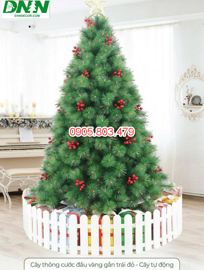 CÂY THÔNG CƯỚC ĐẦU VÀNG GẮN TRÁI ĐỎ CAO 1M5 1M8 2M1 2M4 3M