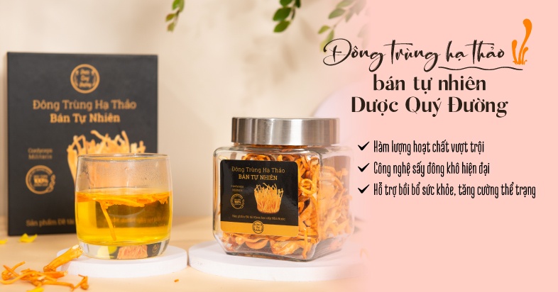 KM đông trùng