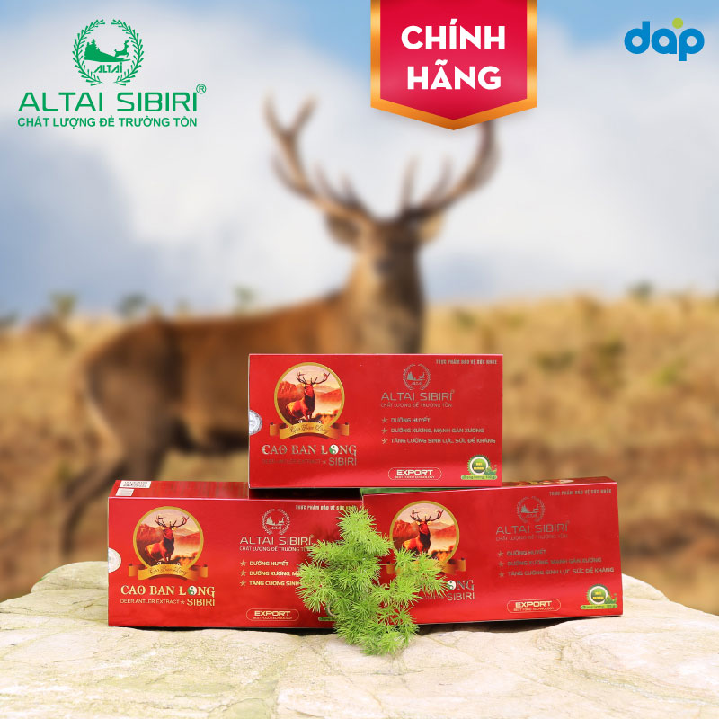 Cao Ban Long Sibiri Chính Hãng - Hộp 50g