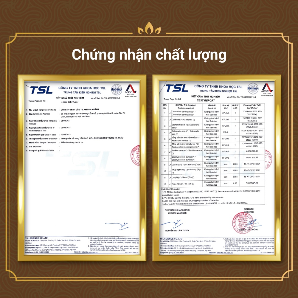 Yến Kiều chưng Đông Trùng Hạ Thảo - Set 6 hũ