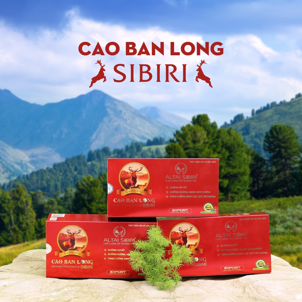 Cao Ban Long Sibiri hộp 100g - Combo 4 hộp tặng 1 hộp đông trùng hạ thảo 20g