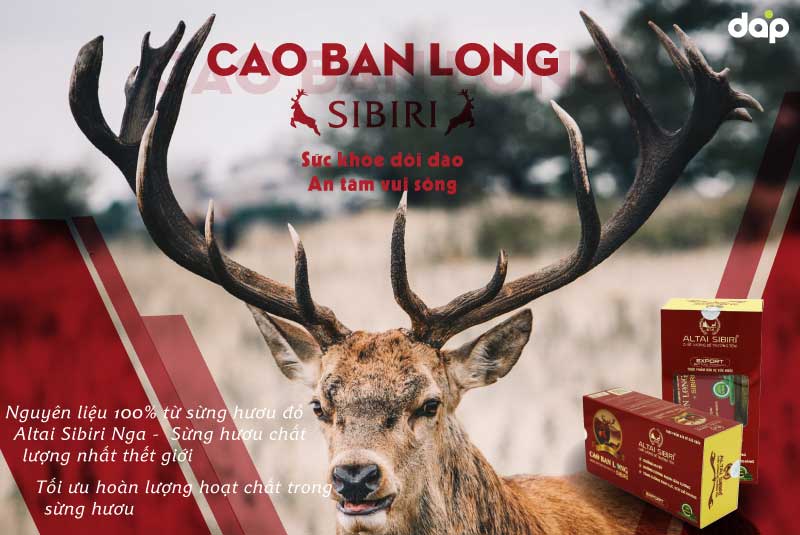 cao ban long