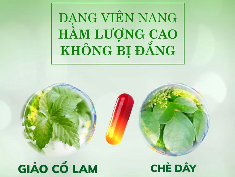 giảo cổ lam thiên bảo