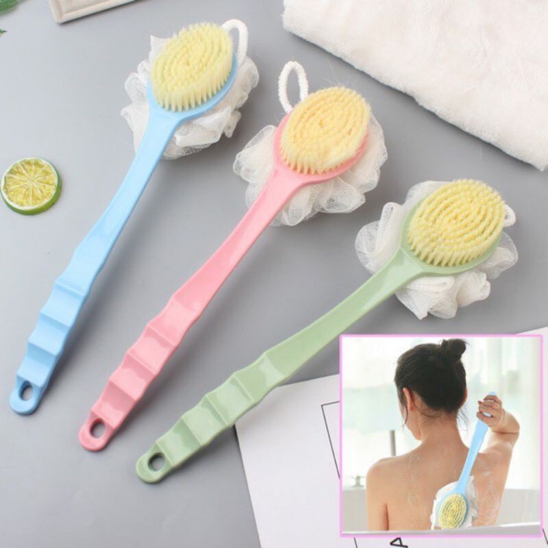 Cây Cọ Lưng 2 Mặt