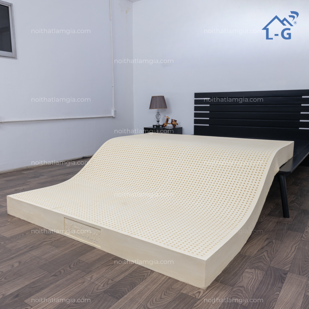 Nệm Cao Su Thiên Nhiên Thắng Lợi Sisi Advanced (NCSTNTLSISIAD)