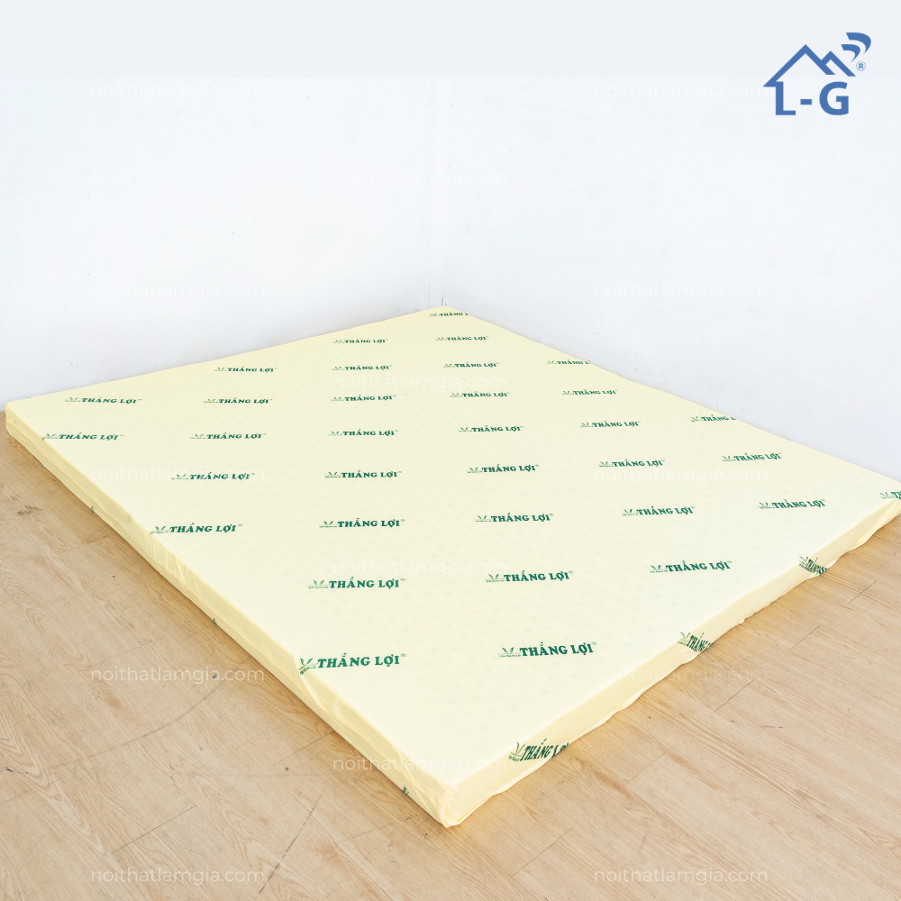 Nem-Cao-Su-Non-Tong-Hop-Thang-Loi-NCSNTL-80cmx2mx10cm.png
