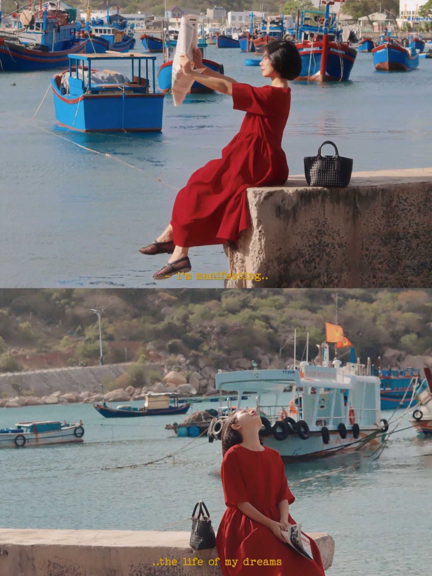 Hoa Trà Ven Biển