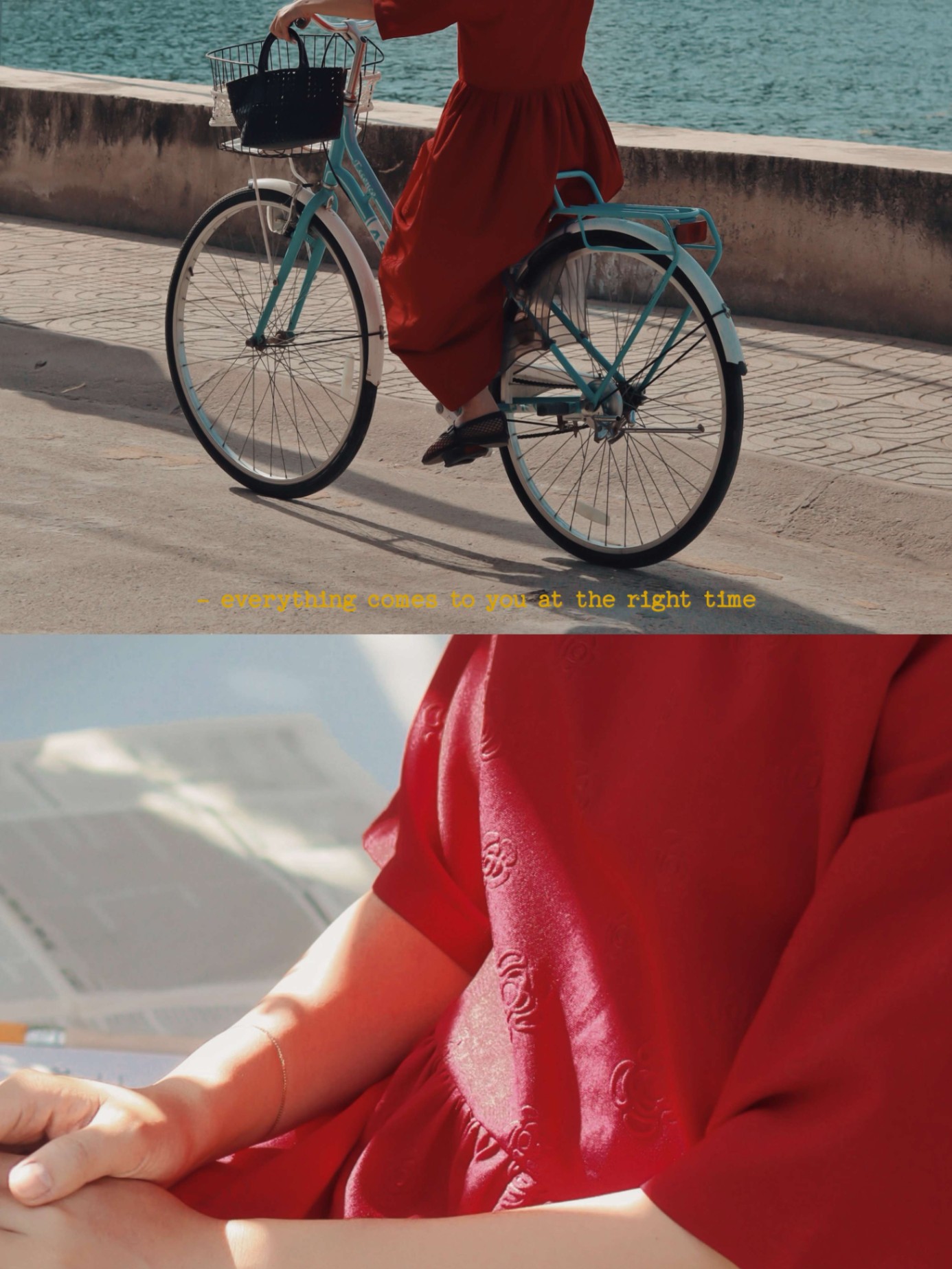 Hoa Trà Ven Biển