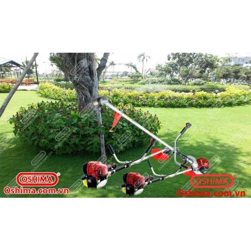 MÁY CẮT CỎ OSHIMA T - GX 35 - HONDA