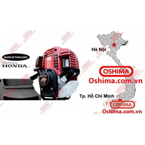 MÁY CẮT CỎ OSHIMA T - GX 35 - HONDA