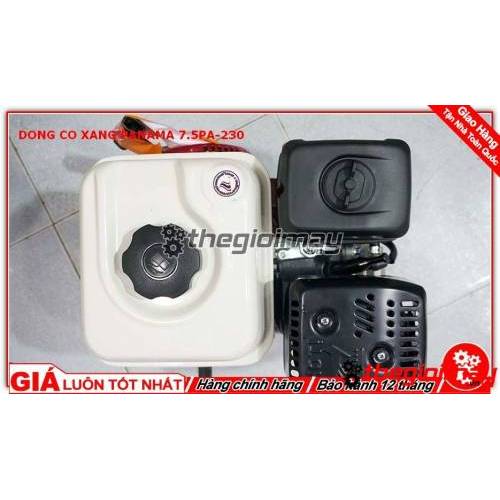 ĐỘNG CƠ XĂNG PANAMA 7.5HP PA230