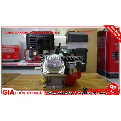 ĐỘNG CƠ XĂNG YOKOHAMA 160 5.5HP