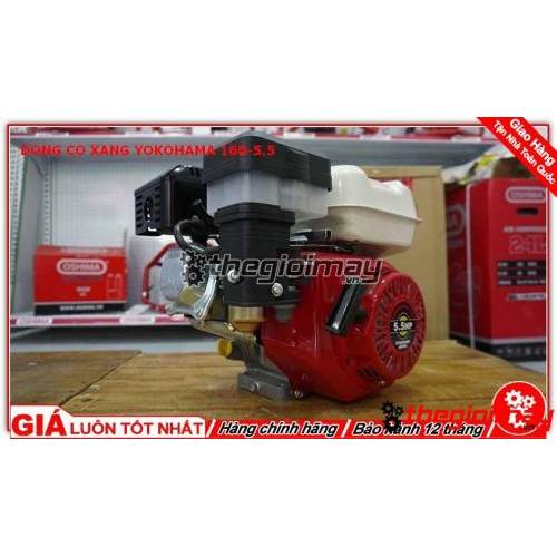 ĐỘNG CƠ XĂNG YOKOHAMA 160 5.5HP