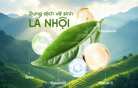 Nguồn cảm hứng của Dung dịch vệ sinh Lá nhội Lulami