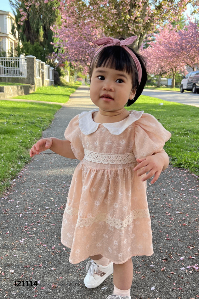 Váy be viền ren KIDS