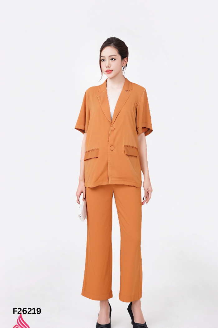 SET Áo blazer nâu ngắn tay + quần dài
