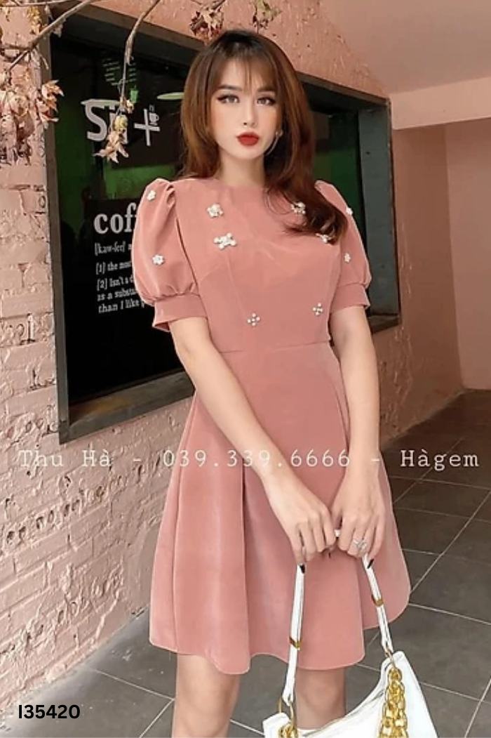 Váy nhung nâu đính ngọc