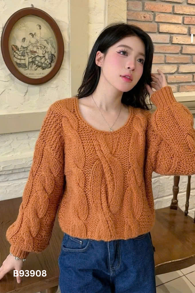 Áo len LILY BROWN cam