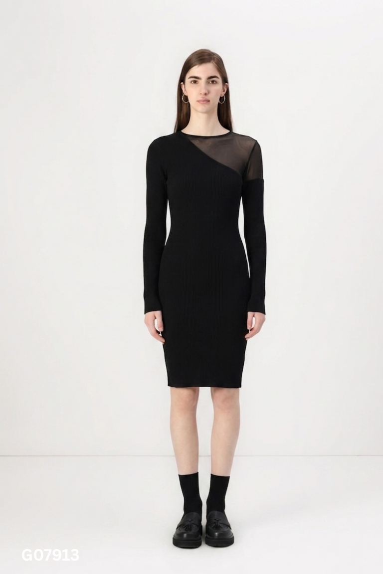 Váy đen ZARA phối lưới (cắt tag)