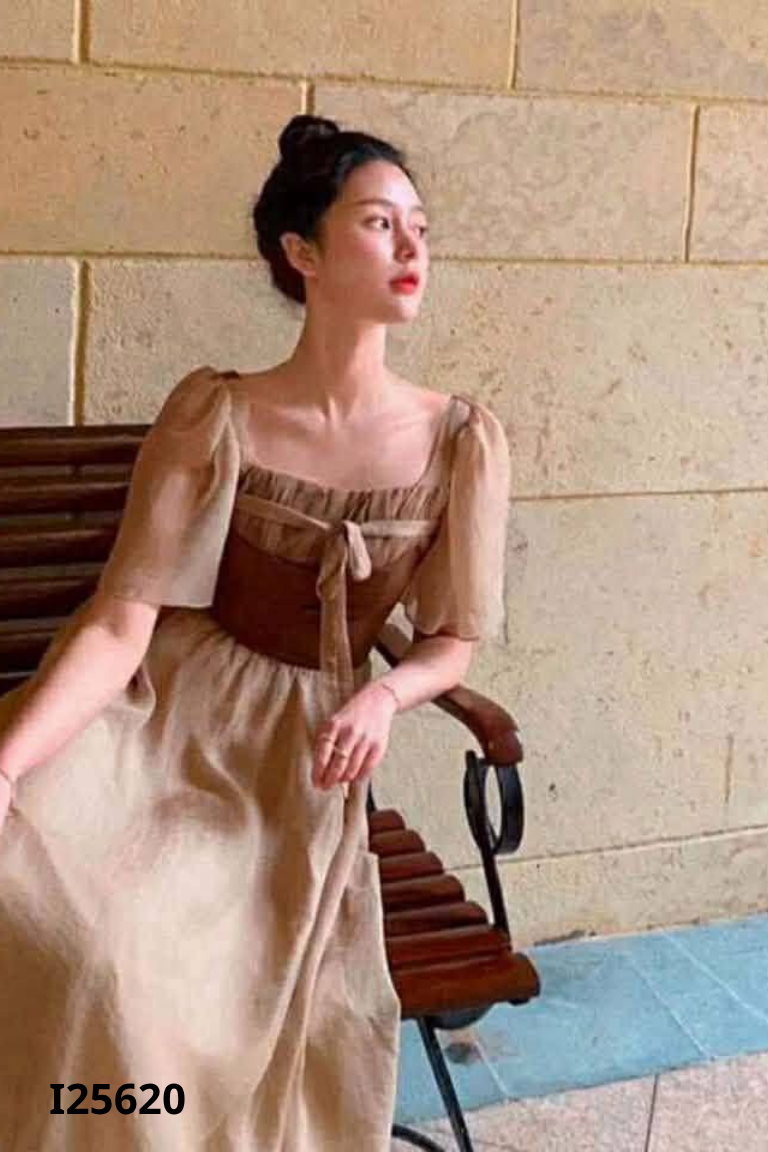 Váy nâu phối voan nâu nhạt