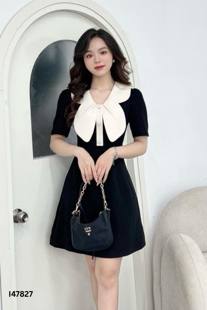 Váy đen ROSARA phối cổ be