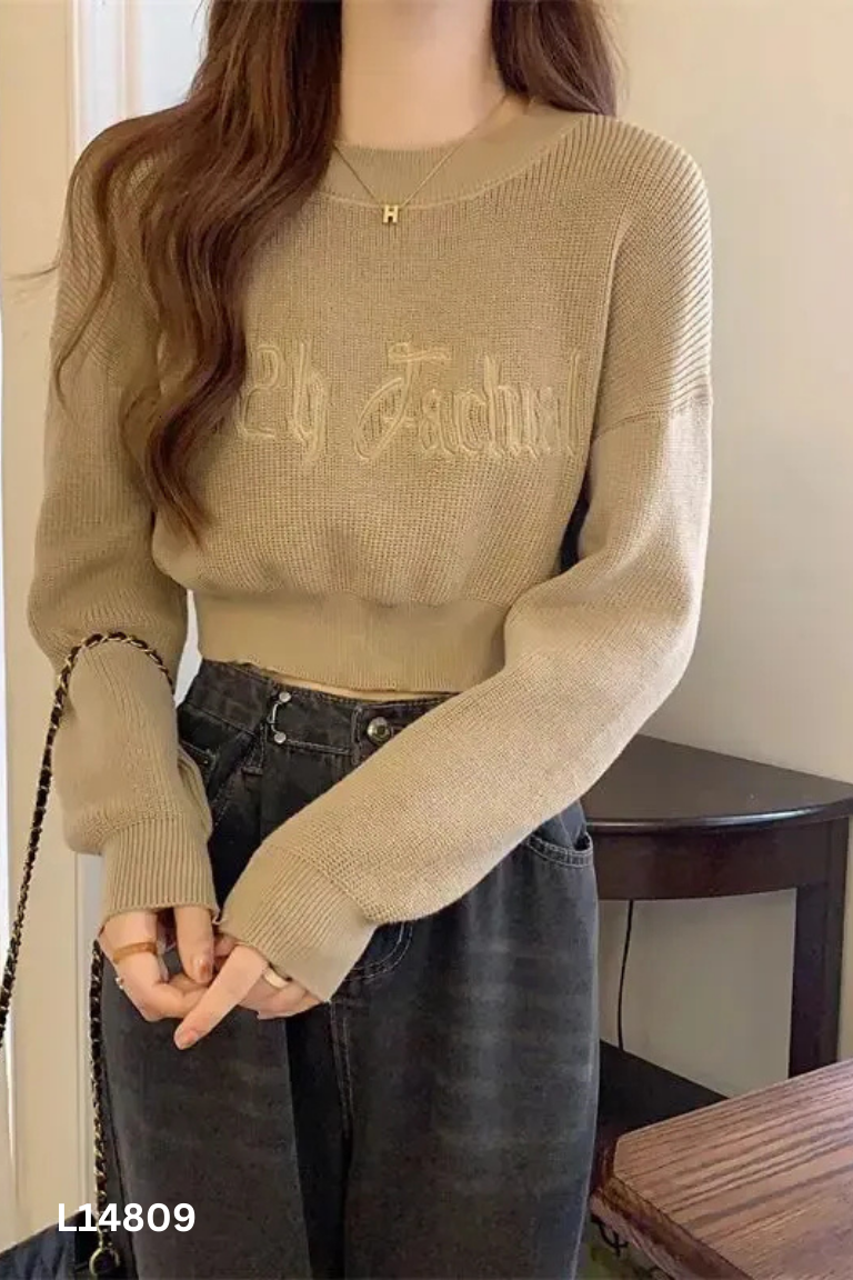 Áo len croptop nâu thêu chữ