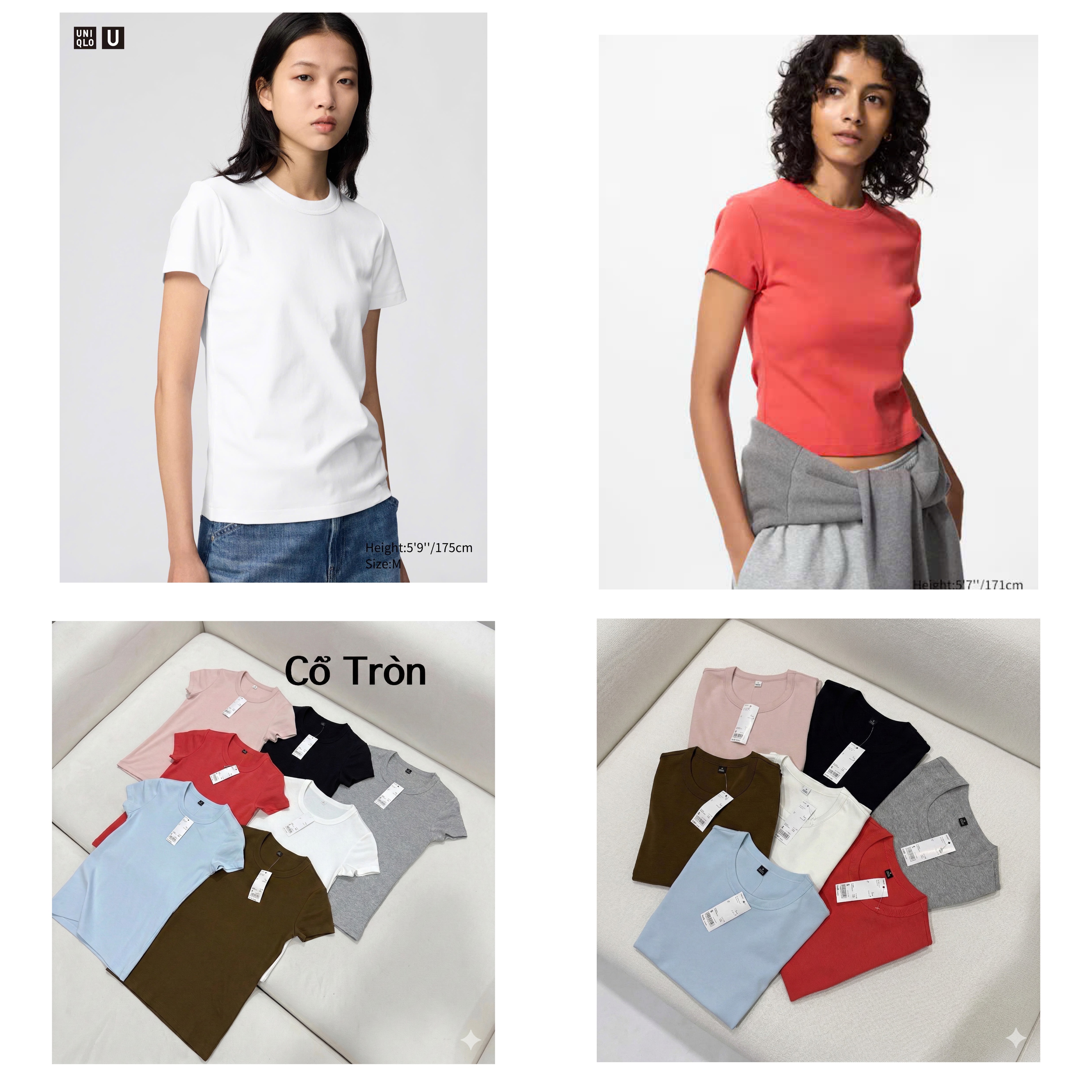 Phông Uni cổ tròn Dư Xịn 18201