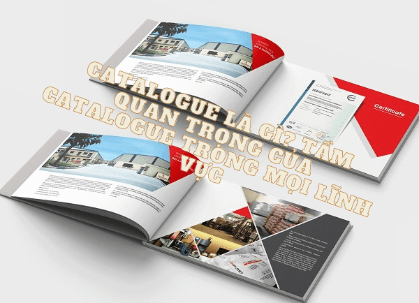 catalogue phụ kiện ống thép cập nhật mới nhất năm 2021