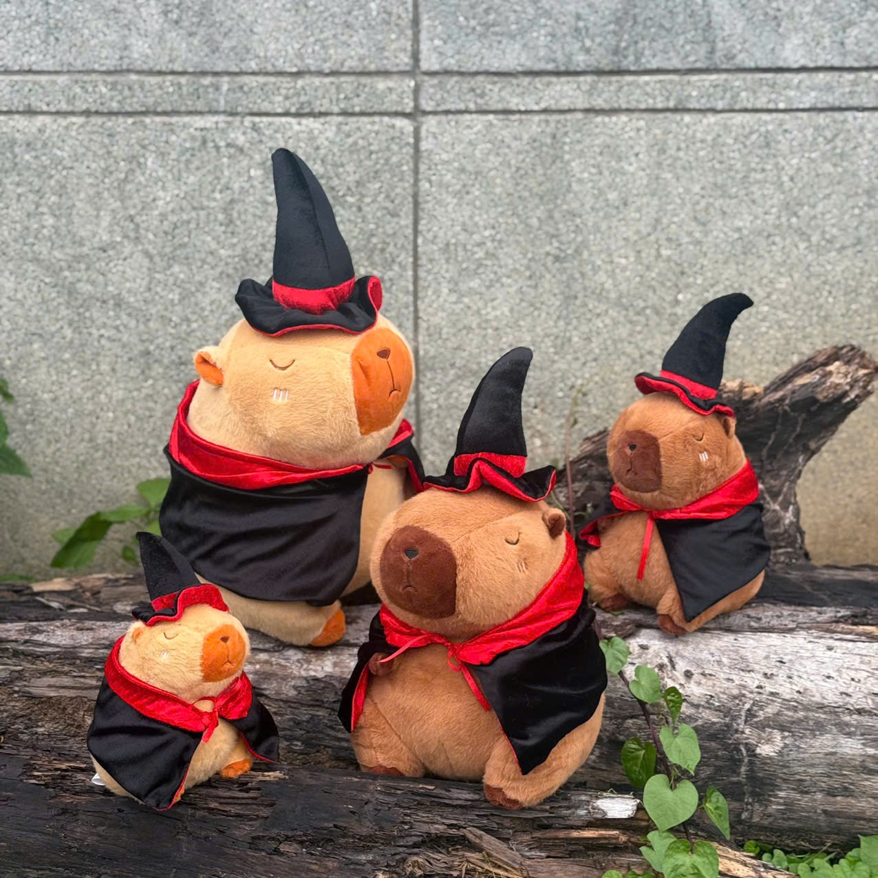 Thú bông Halloween Capybara phù thuỷ TC