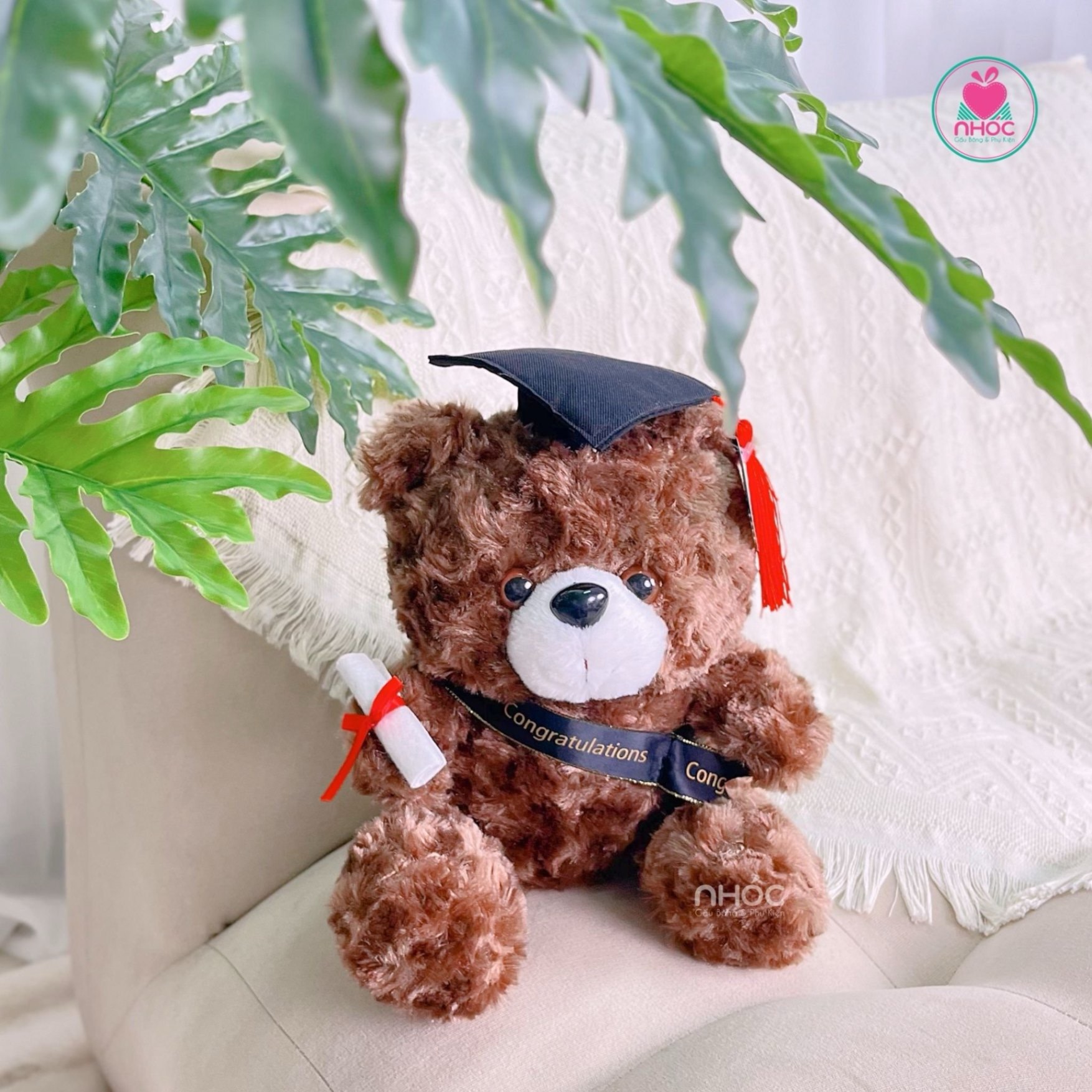 Gấu tốt nghiệp teddy đeo ruy băng TC - Nâu đậm - 20140