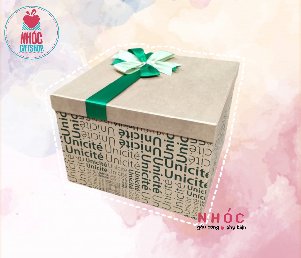 Hộp quà VN Vuông 28 * 28 * 20 - 12001