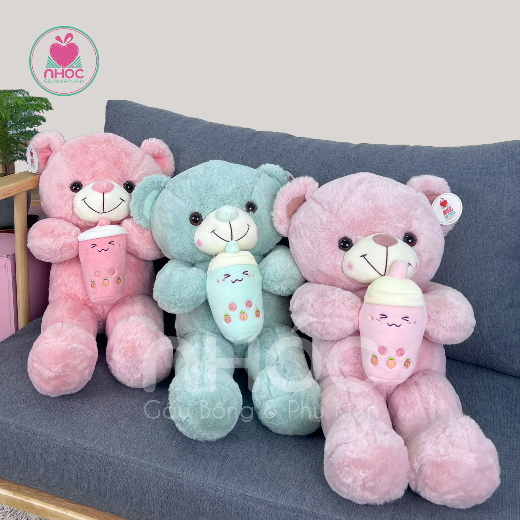 Gấu teddy ôm trà sữa