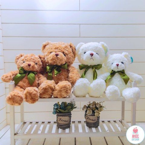 Gấu teddy lông xoắn nơ màu