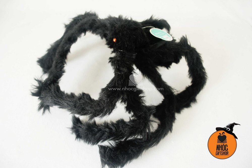 Nhện lông đen - 50110