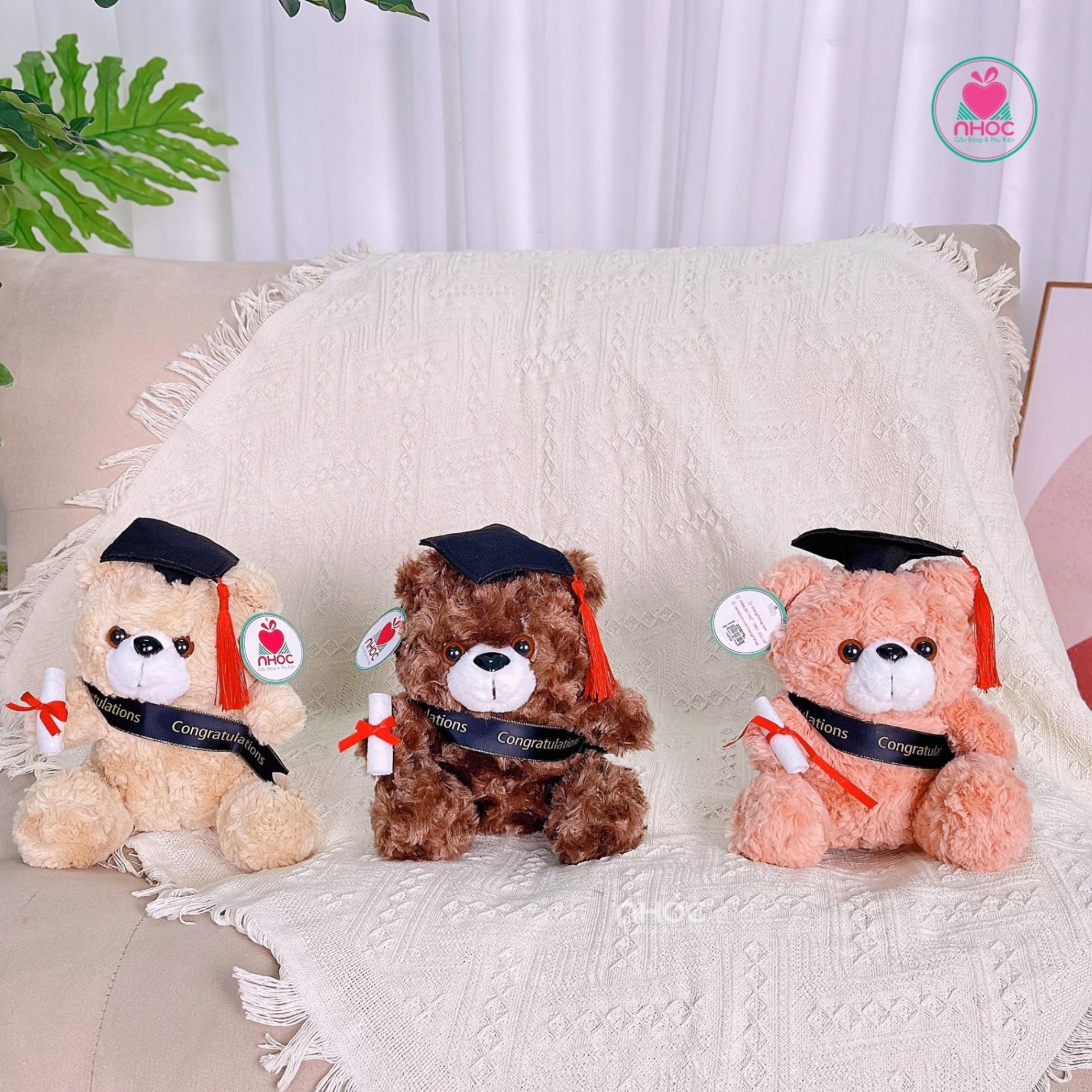 Gấu tốt nghiệp teddy đeo ruy băng TC