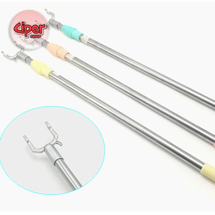 TB - Cây lấy gấu treo - 50