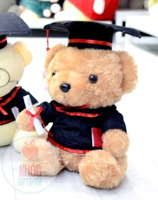Gấu teddy tốt nghiệp lông xù