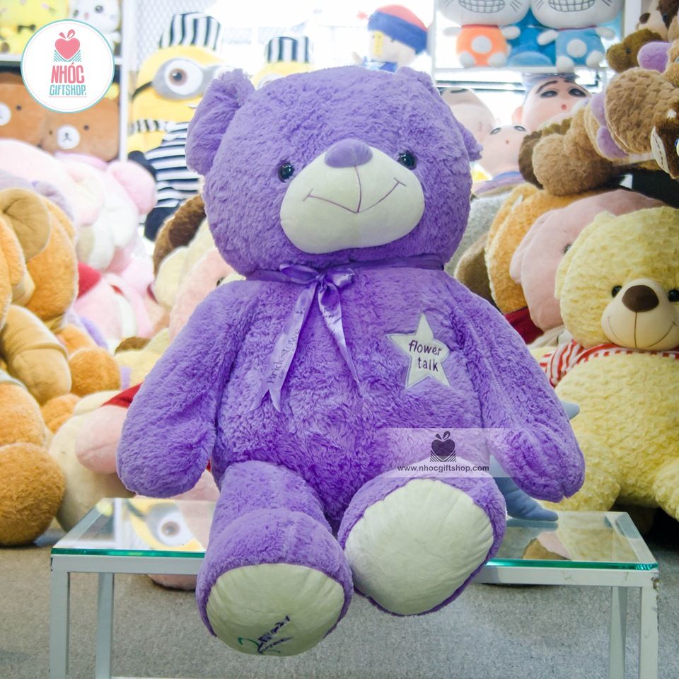 Gấu teddy lavender sao Flower