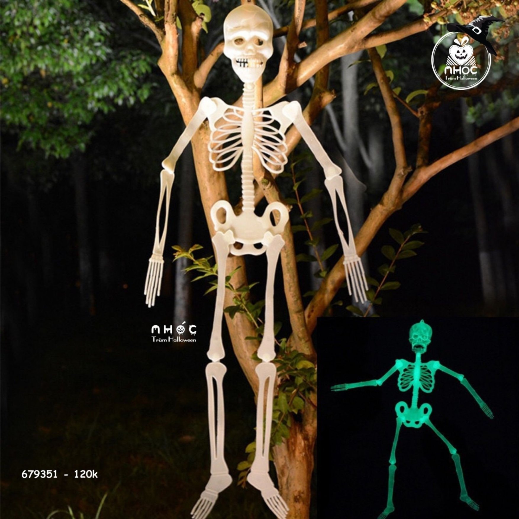 Bộ xương dạ quang - Nhỏ - 12001
