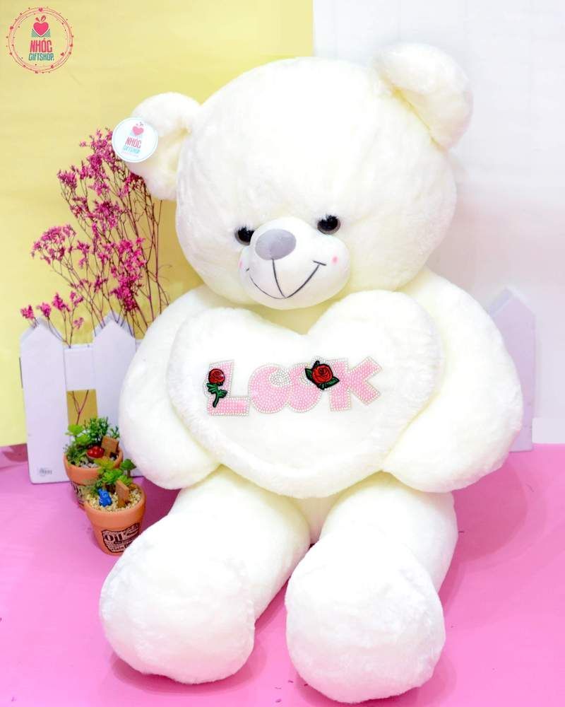 Gấu teddy ôm tim Look xoàn