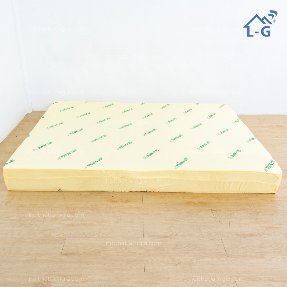 Nệm Cao Su Non Tổng Hợp Thắng Lợi (NCSNTL)