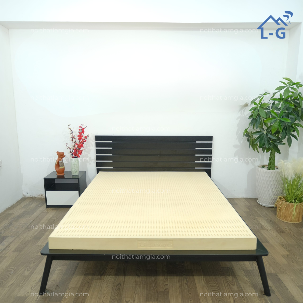 Nệm Cao Su Thiên Nhiên Thắng Lợi Sisi Advanced (NCSTNTLSISIAD)