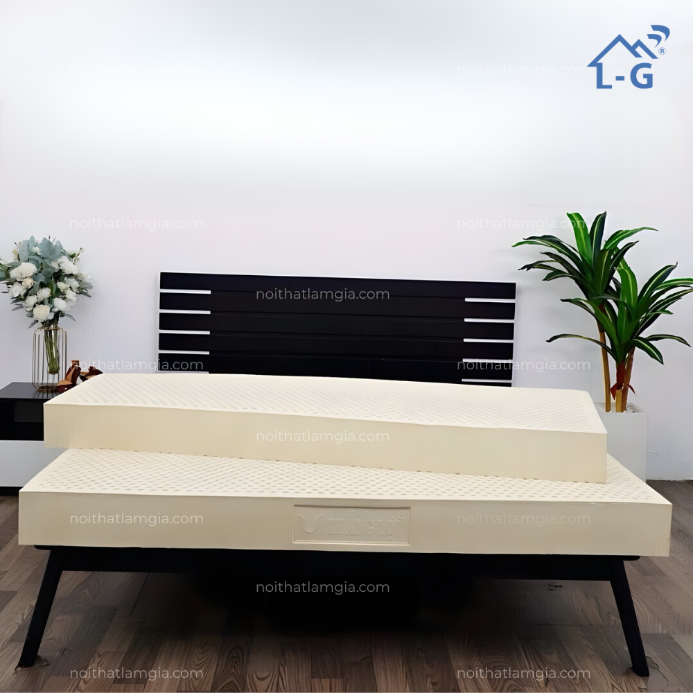 Nệm Cao Su Thiên Nhiên Thắng Lợi Titi Double Function (NCSTNTLTITI)