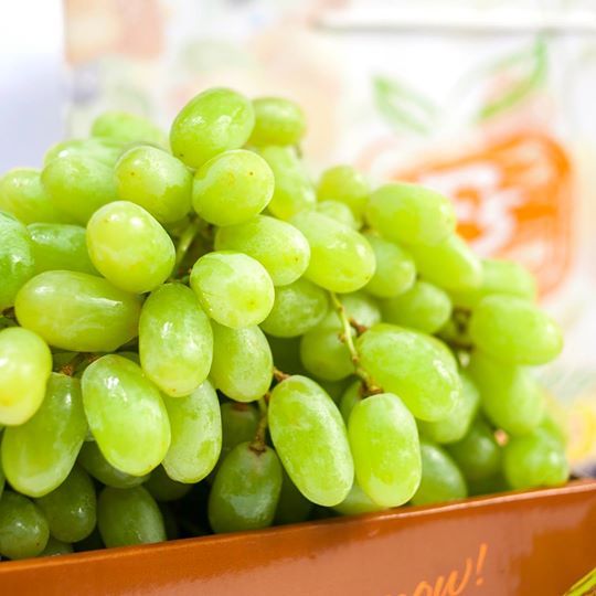  Xà lách Romaine - 130gr 