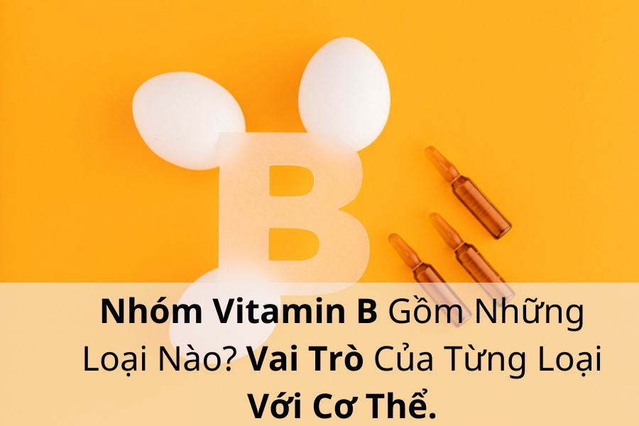 Nhóm Vitamin B Gồm Những Loại Nào? Vai Trò Của Từng Loại Với Cơ Thể.